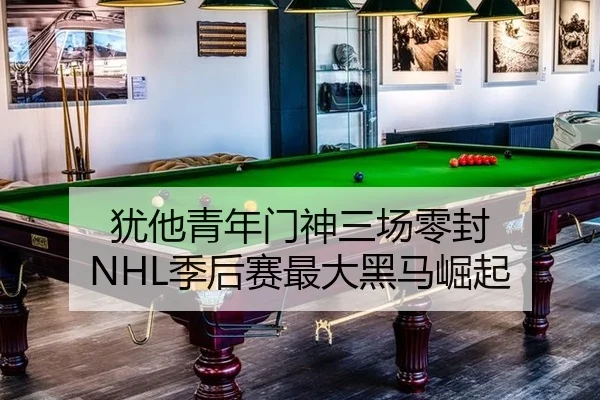 犹他青年门神三场零封 NHL季后赛最大黑马崛起