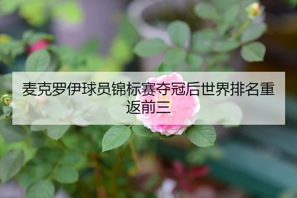 麦克罗伊球员锦标赛夺冠后世界排名重返前三
